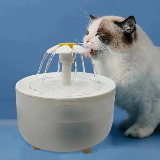 fuente de agua para gatos