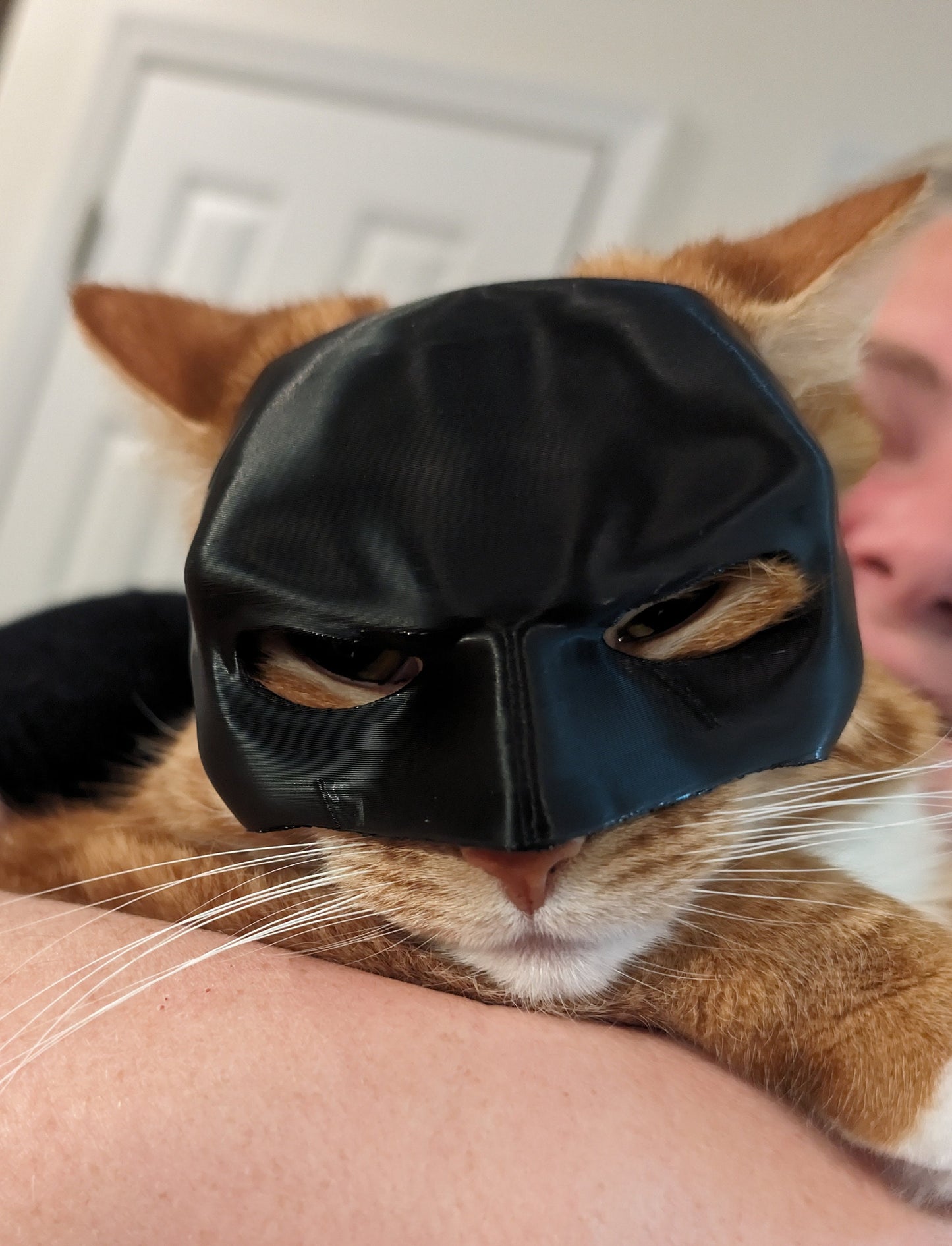 BATCAT™ mascara de Batman